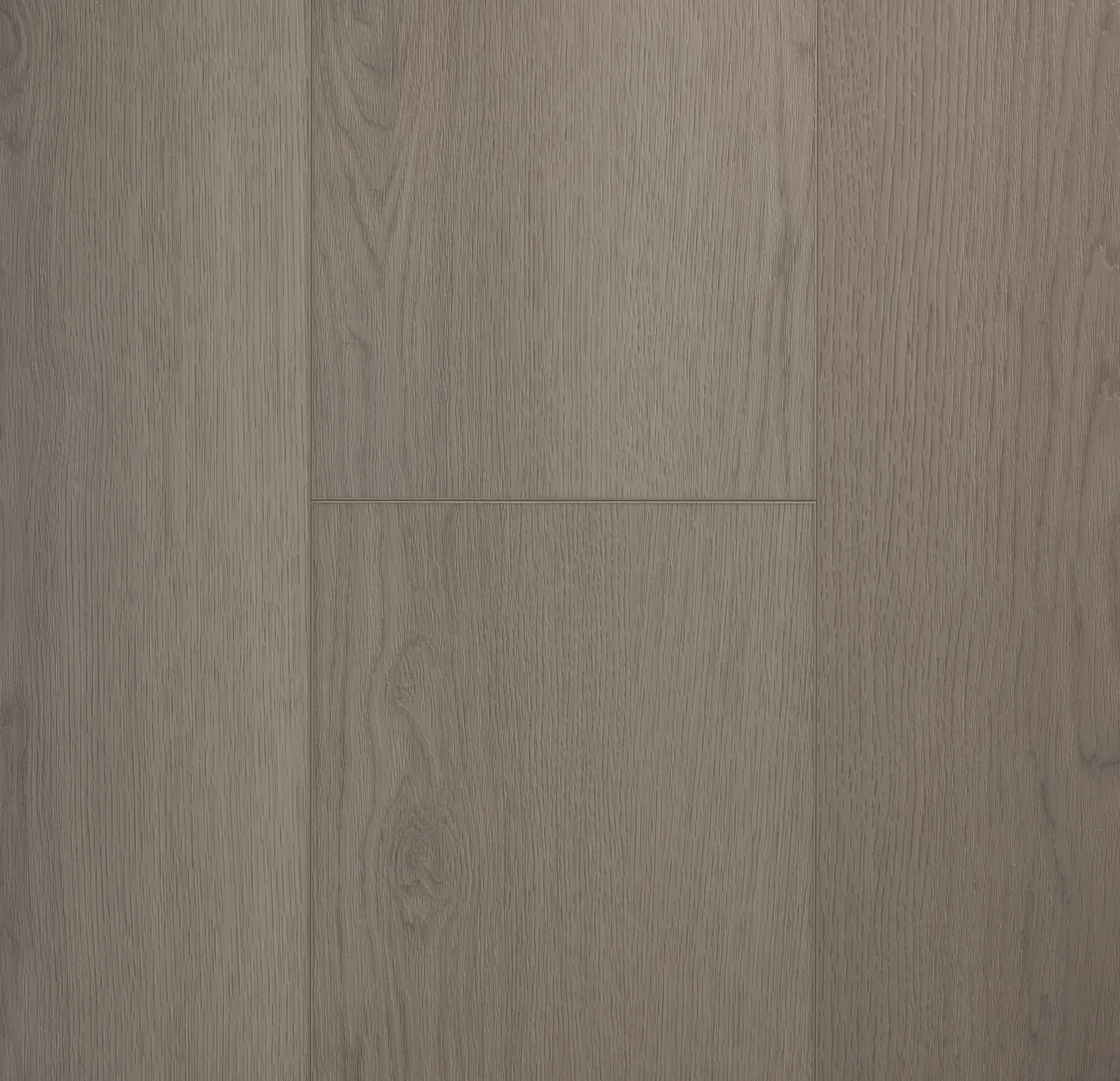 VSPC9LN莫林