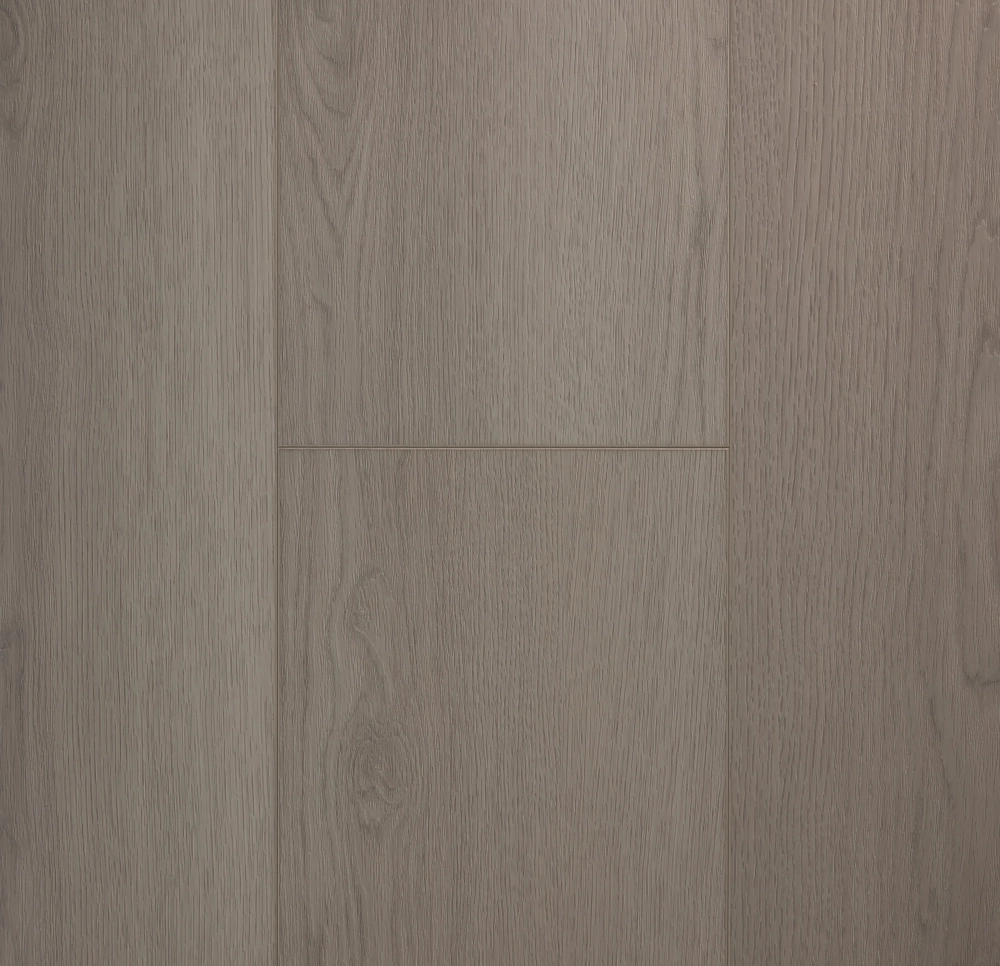 VSPC9LN莫林