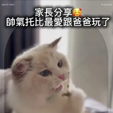 客戶分享