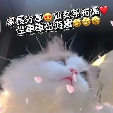 客戶分享