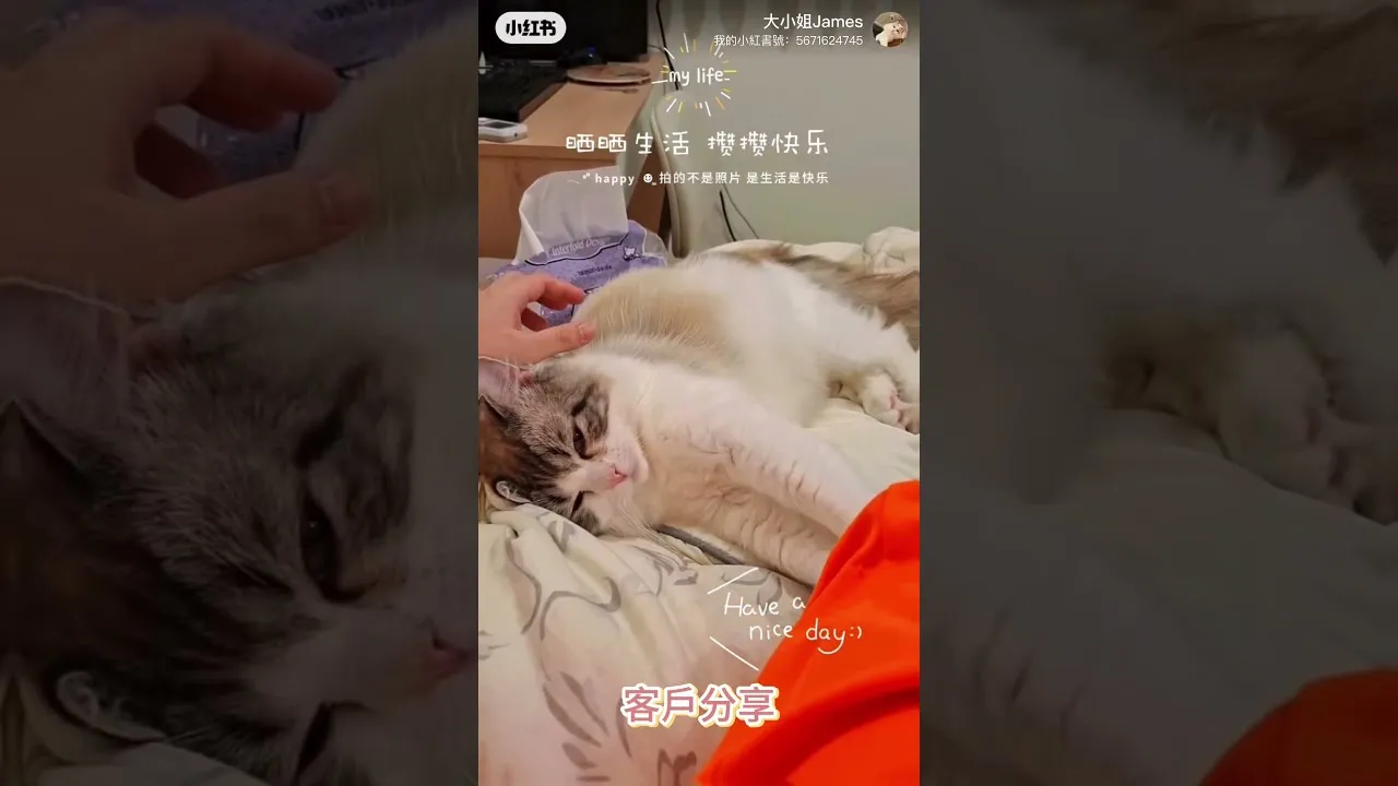 客戶分享