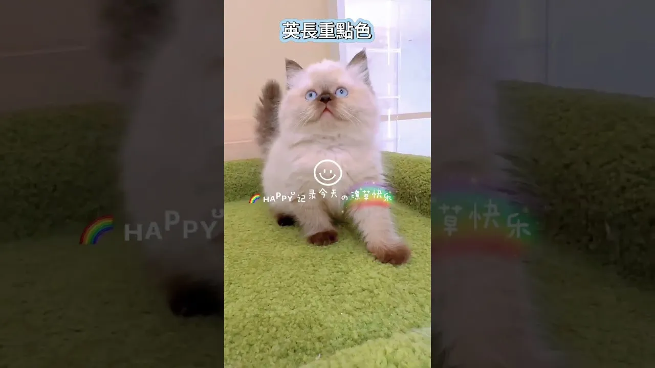 英長重點色