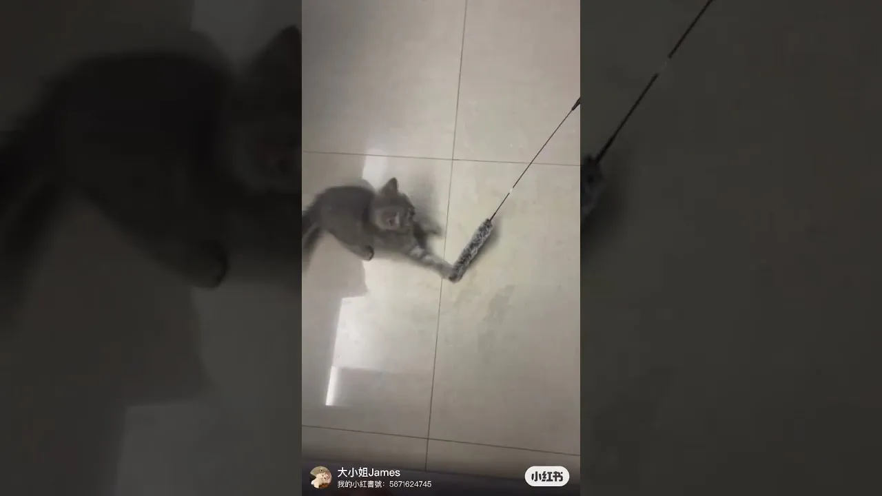 客戶分享