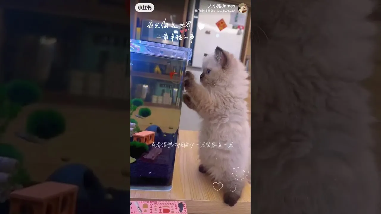 客戶分享