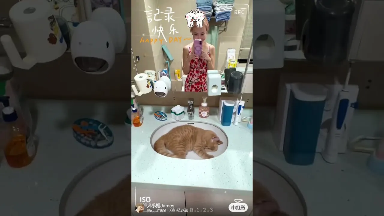 客戶分享
