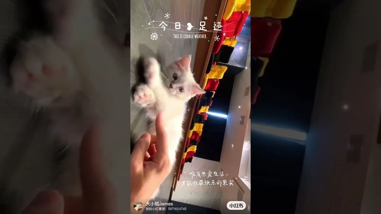 客戶分享