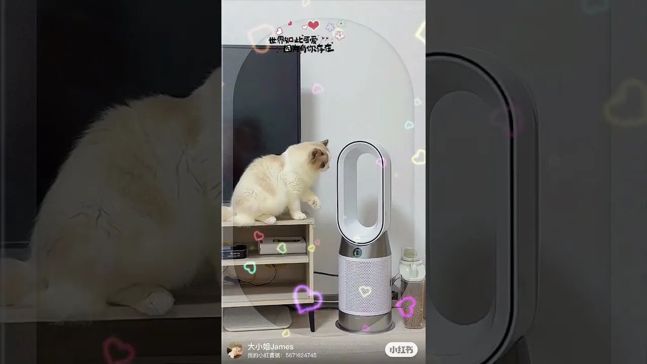 客戶分享