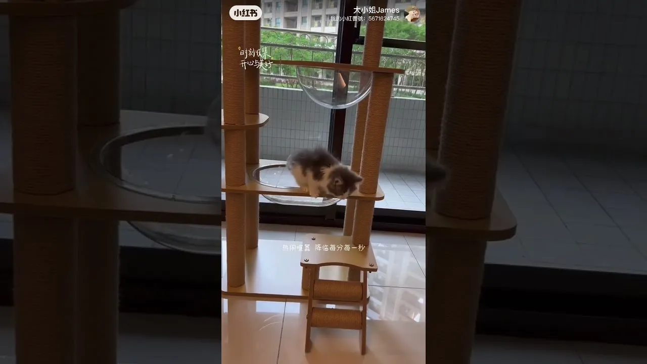 客戶分享