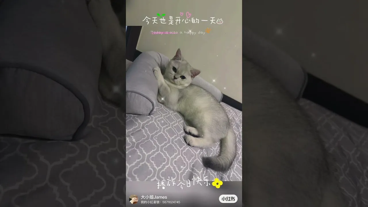 客戶分享