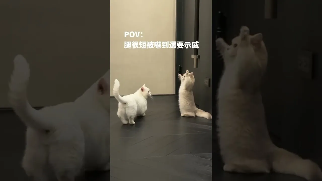 客戶分享