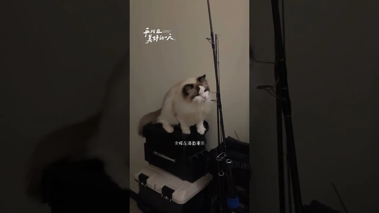 客戶分享