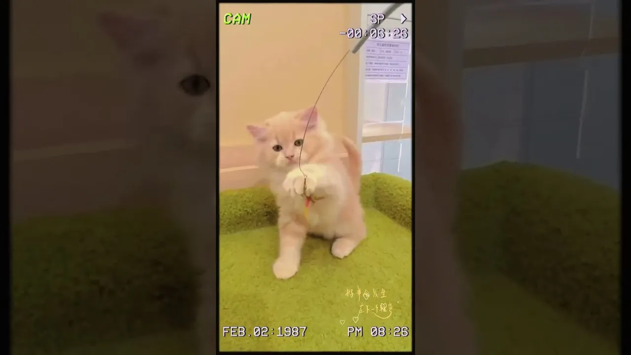 英長奶油