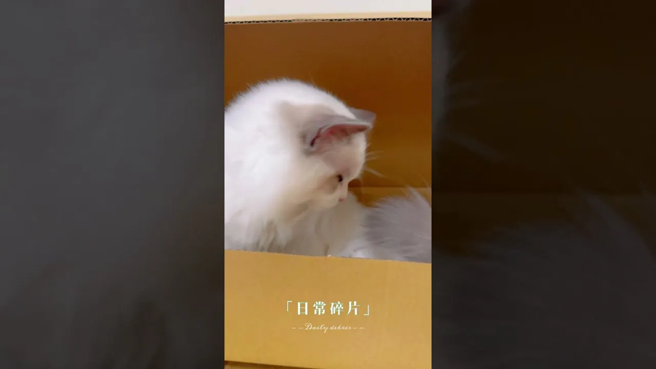 客戶分享
