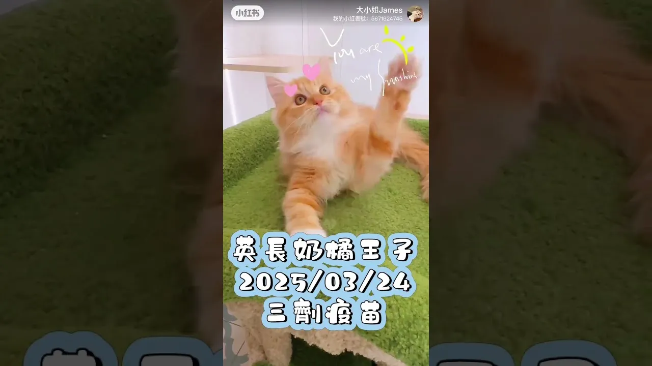 英長