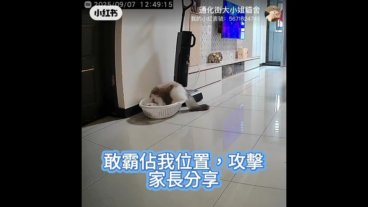家長分享