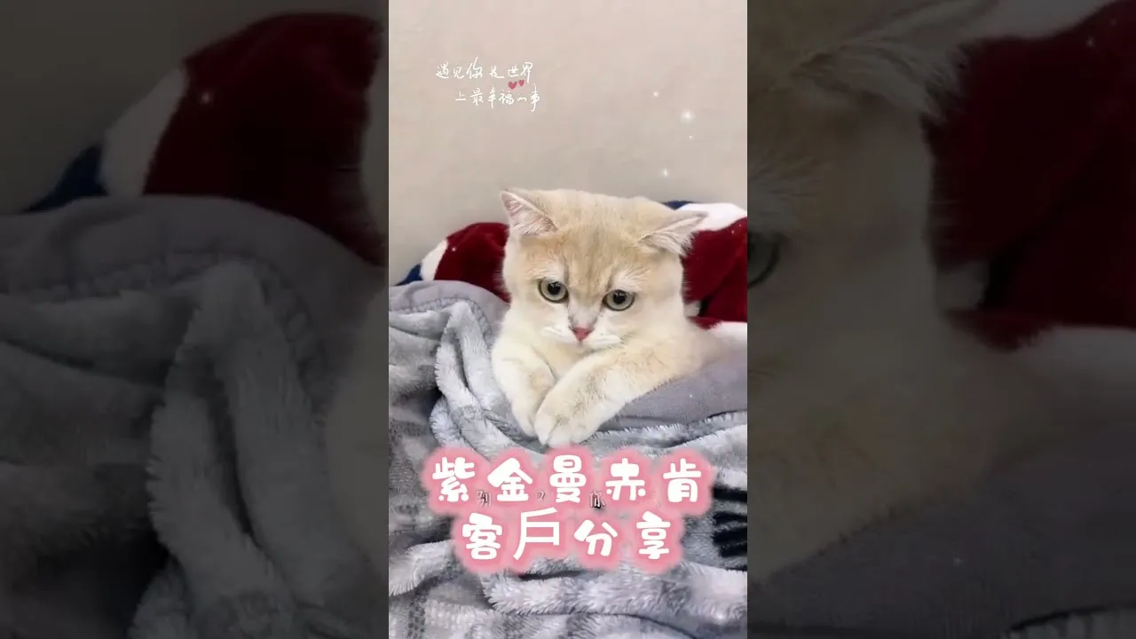客戶分享