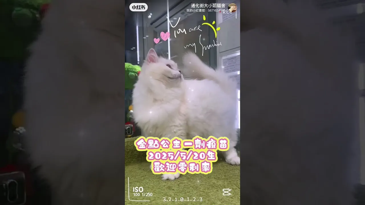 英長