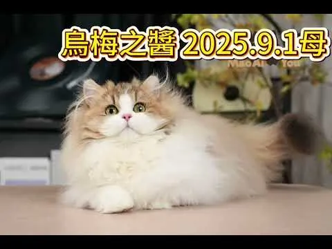 四月來台敬請期待