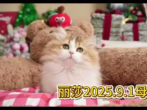 四月來台敬請期待