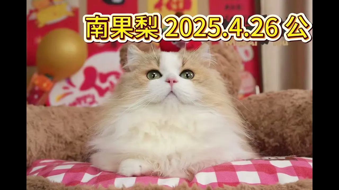 四月來台敬請期待