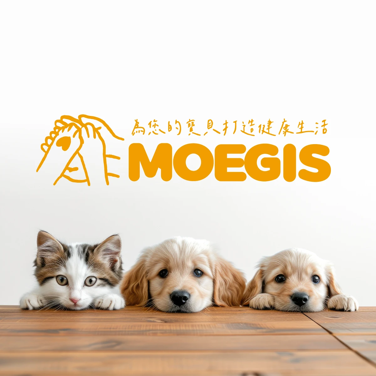 毛孩吃鮮食比吃飼料好嗎？寵物用品推薦,台北寵物用品推薦,板橋區寵物用品推薦