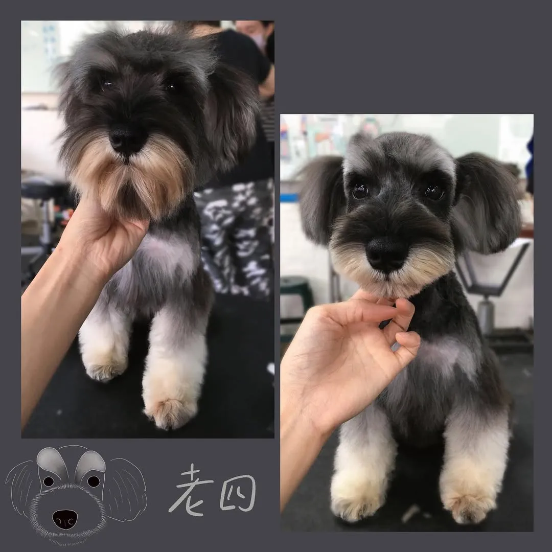 這是最接近我理想中的造型