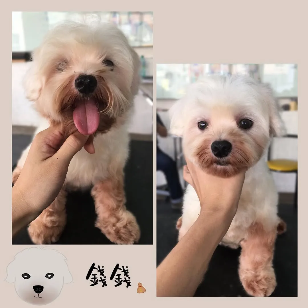 你已經被好運錢錢拜訪