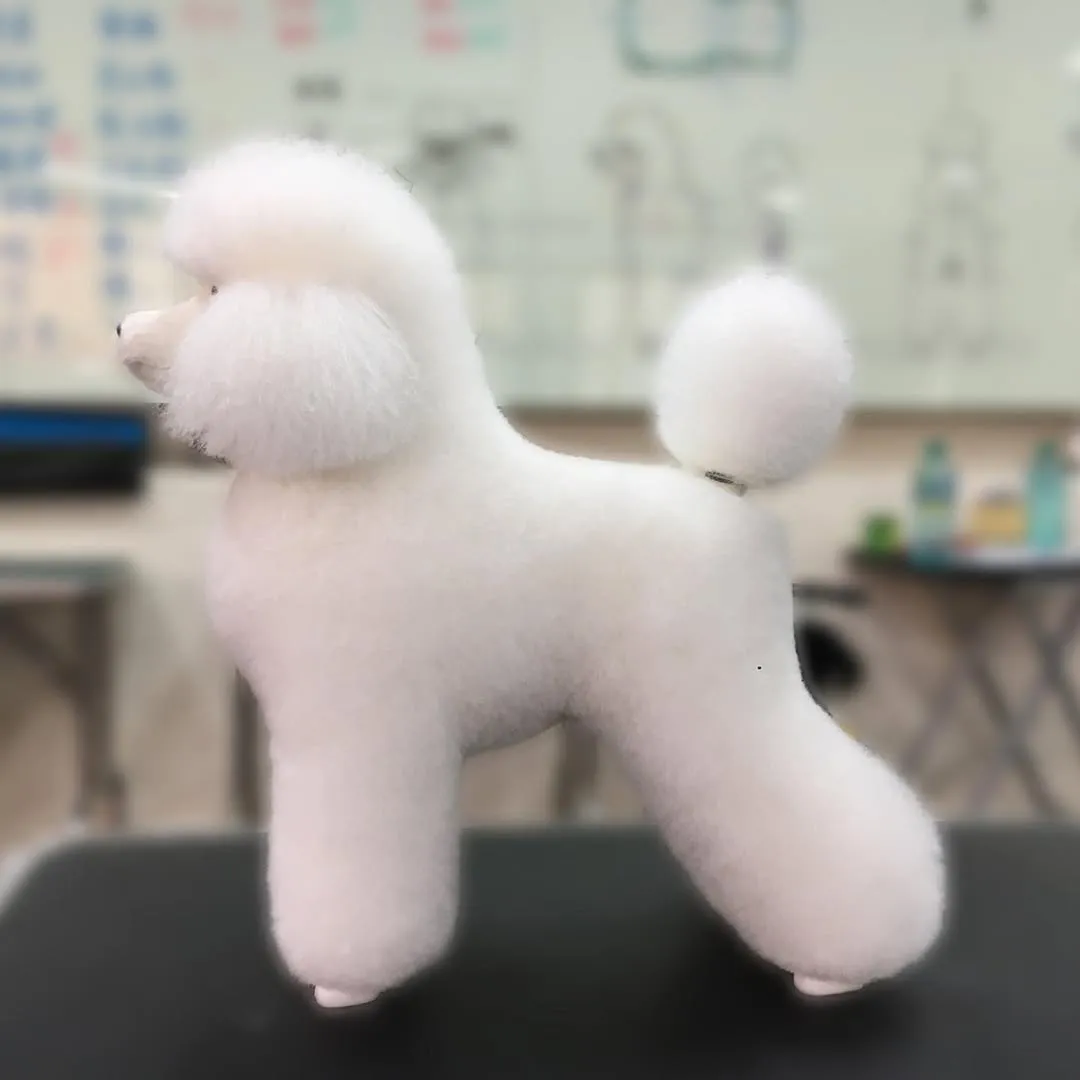 過了9個月再一次剪假狗