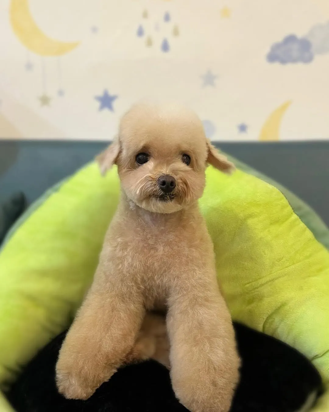 Milky風格大轉換