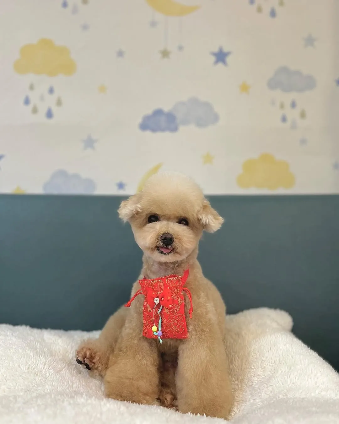 Milky之當模特兒好累但還是要敬業