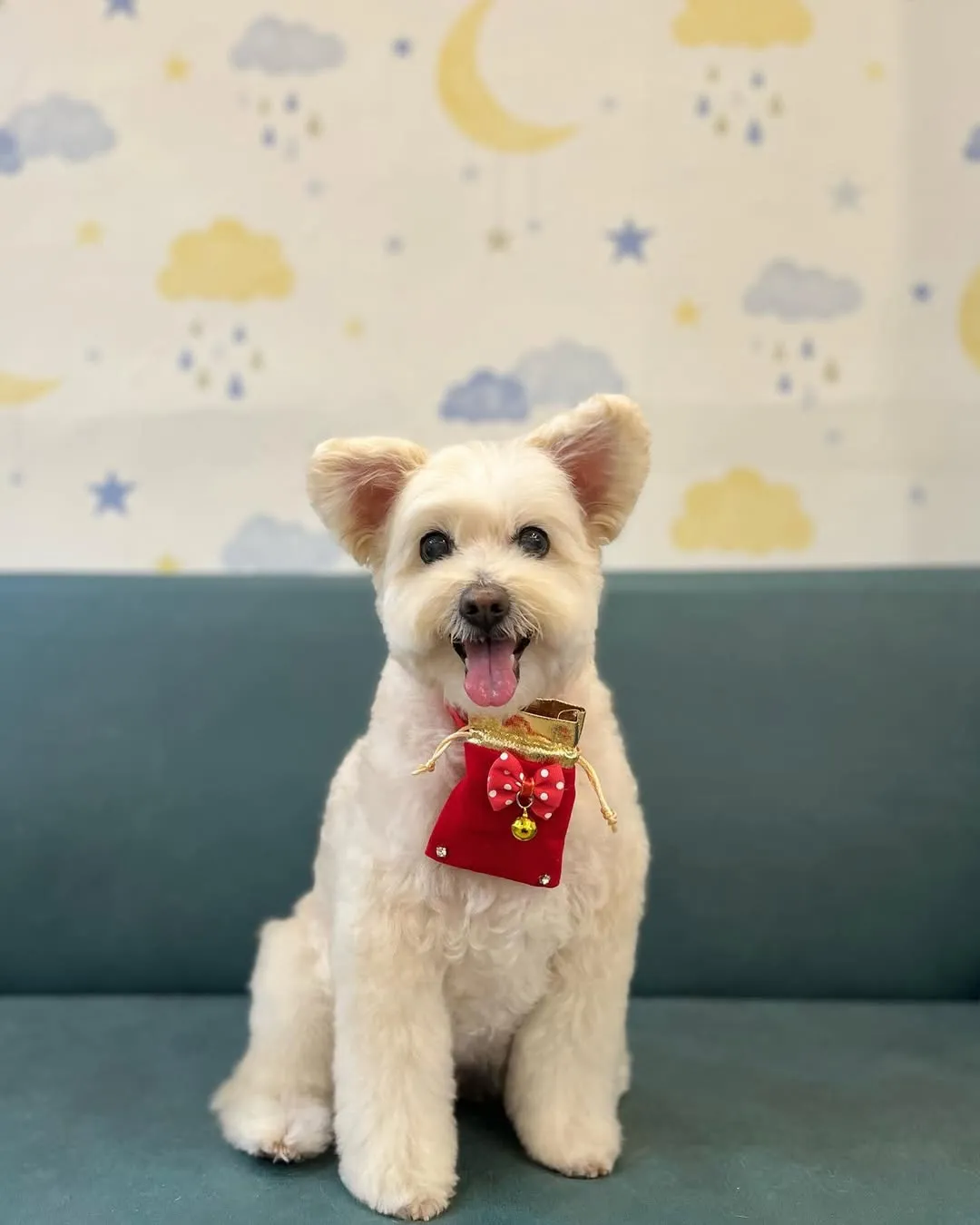 愛笑笑的甜甜一定是因為喜歡拍照