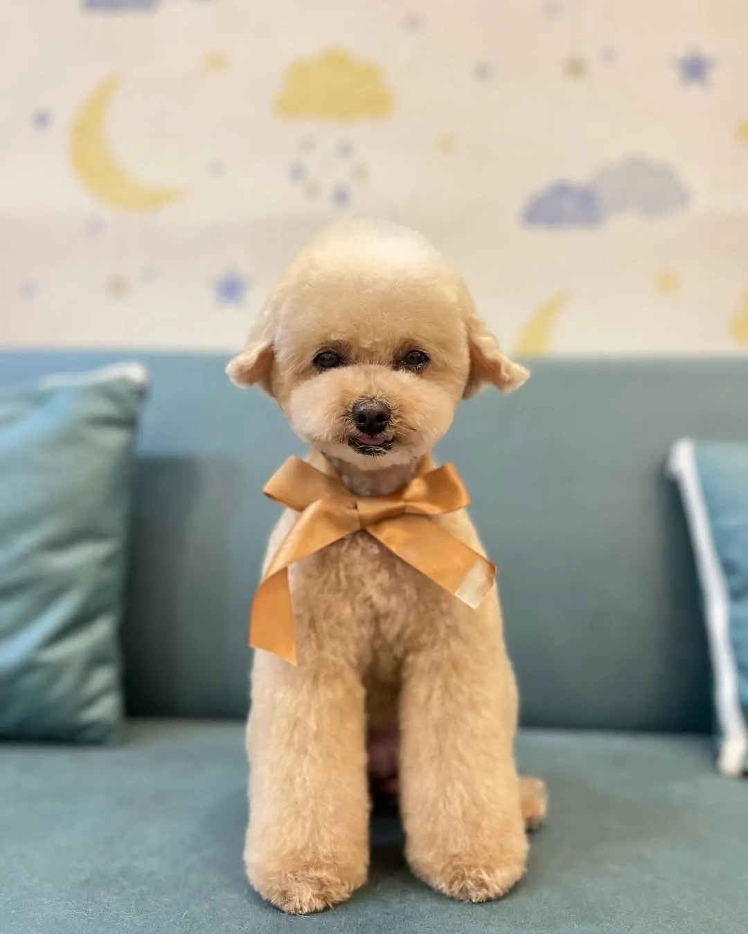 又是熟悉的Milky啦～