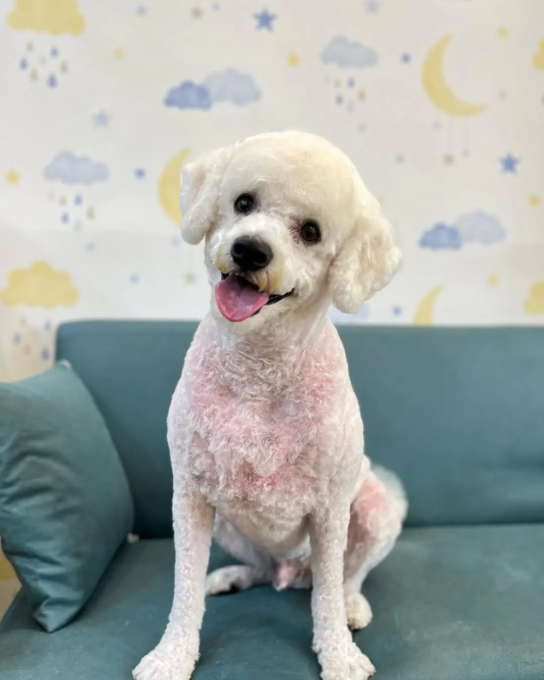 這次的故事有點長