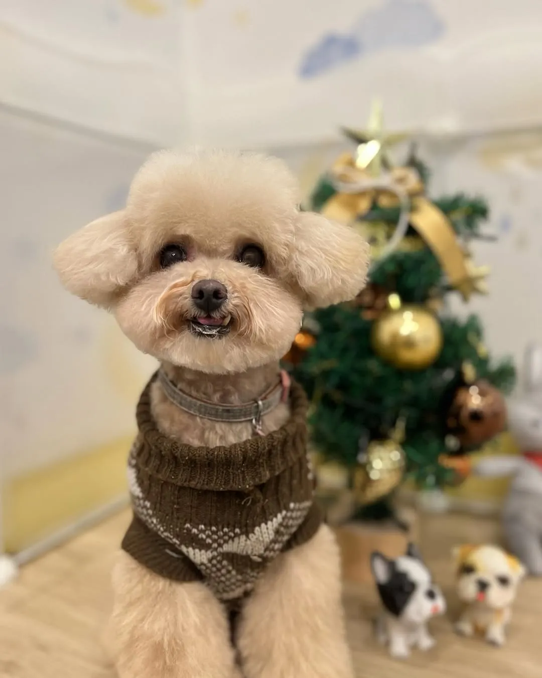 聖誕狗狗們來送祝福啦！