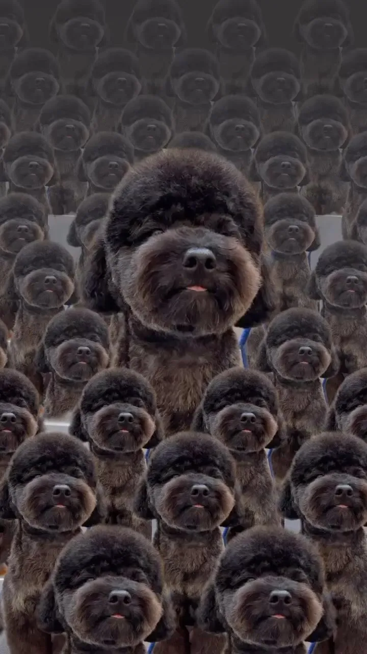 好想睡.. 不能睡！