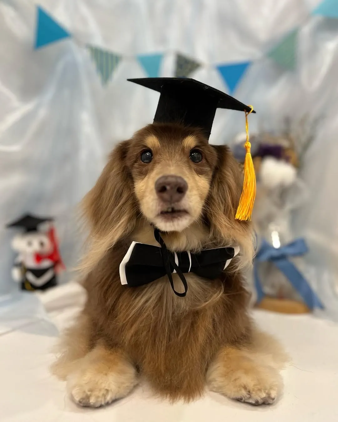 她叫Pocky，她媽媽都愛叫他波波～