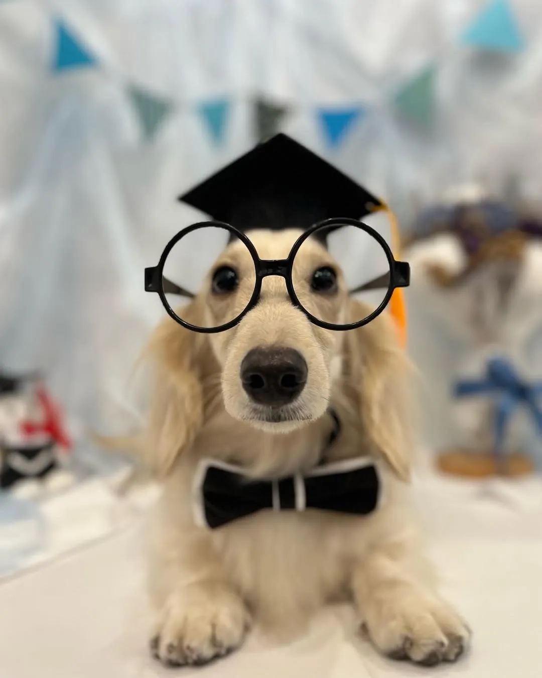 不要看他天真無邪的樣子