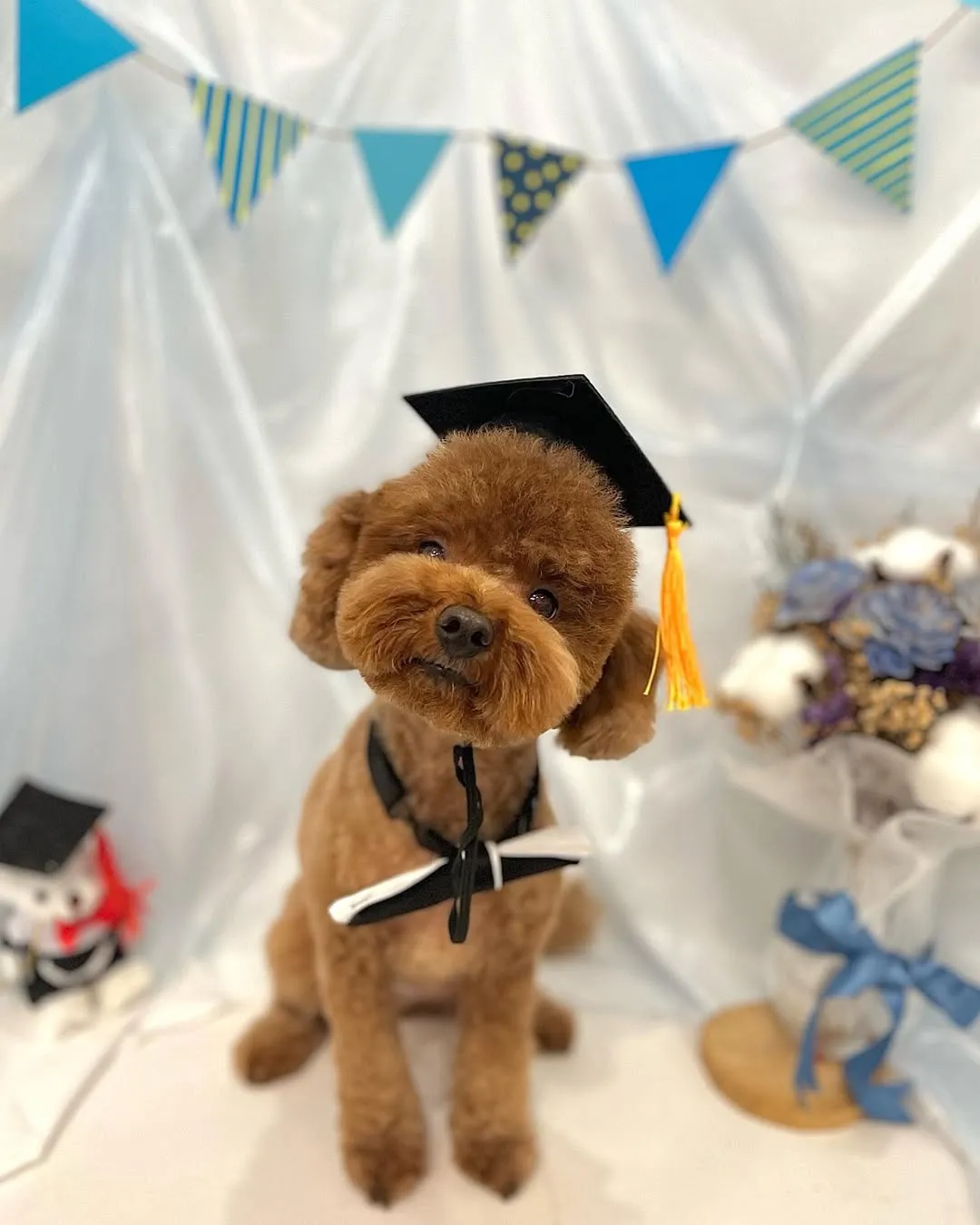 他就叫Qr Code 很奇妙的名字