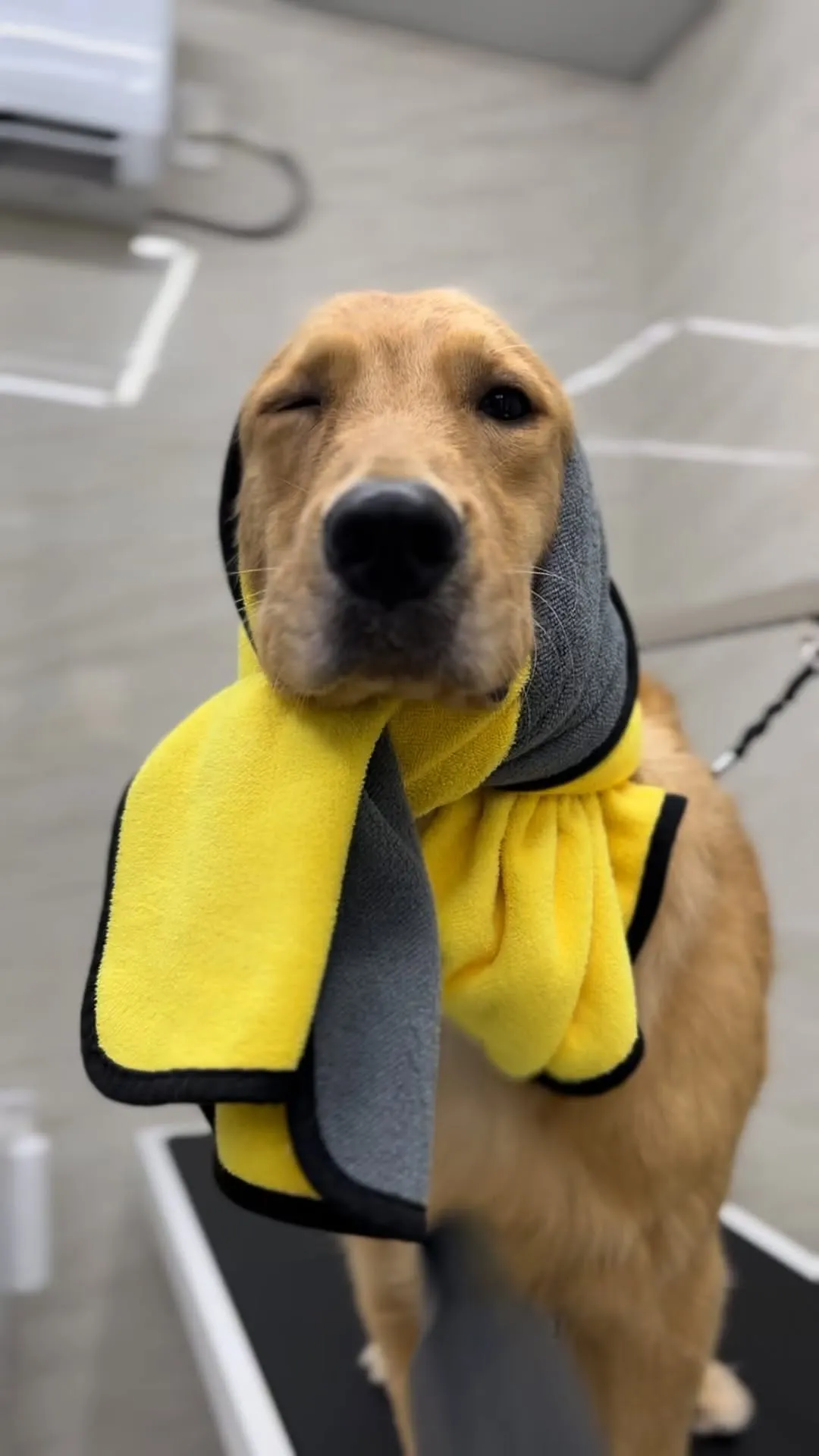 洗澡時很哀怨，洗完澡笑得那麼開心 ?