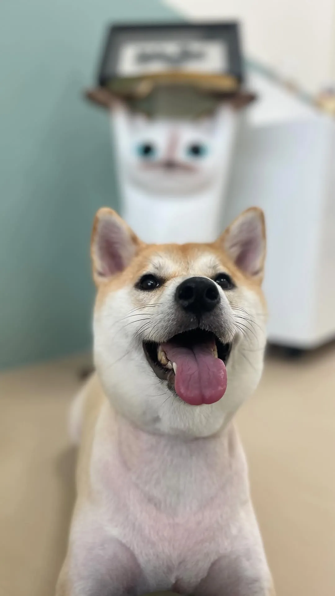 誰是開心狗勾！是木木！ ?