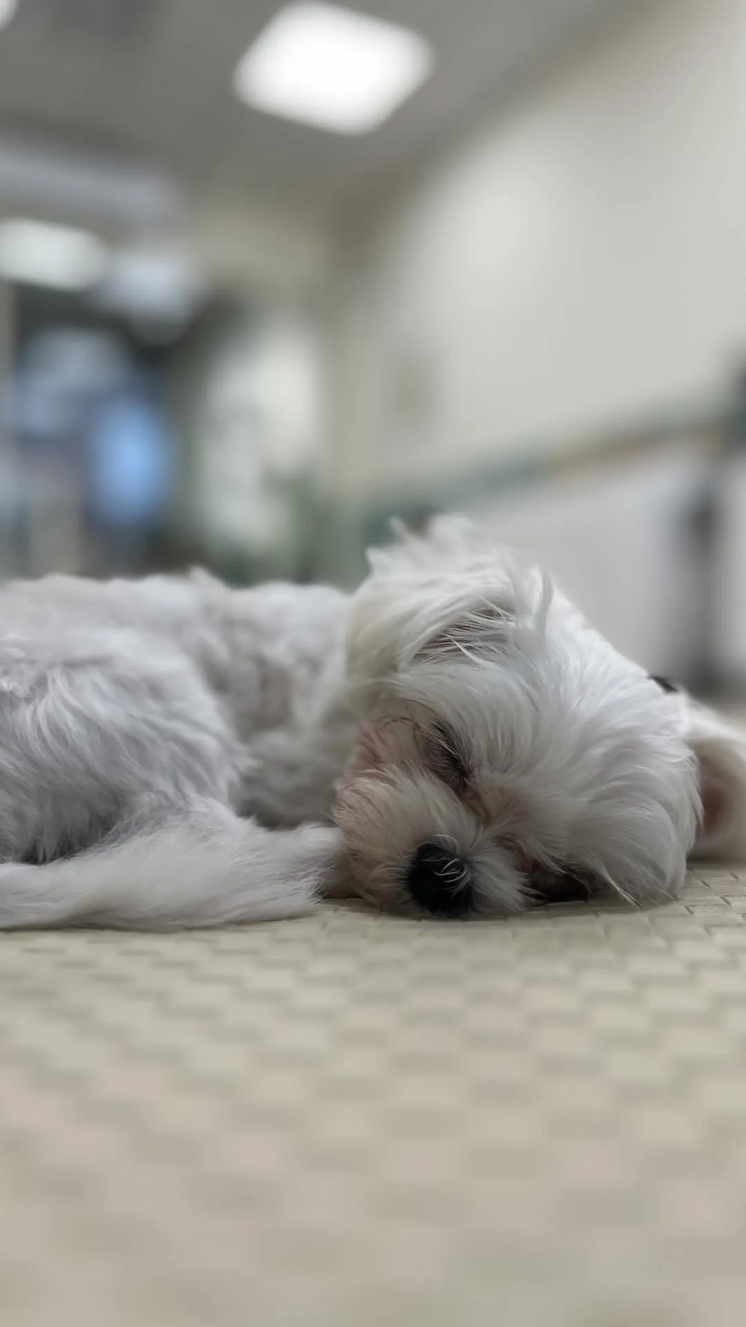 認真玩，認真睡的小寶寶?