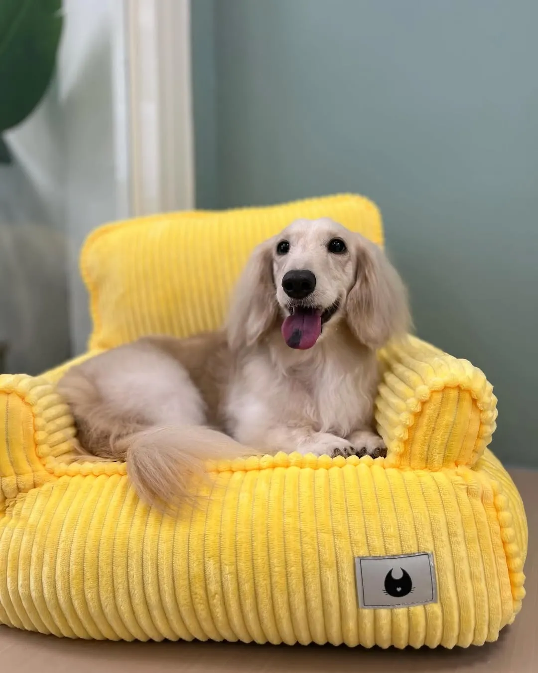 媽媽說Candy在沐森琳住宿像王子一樣