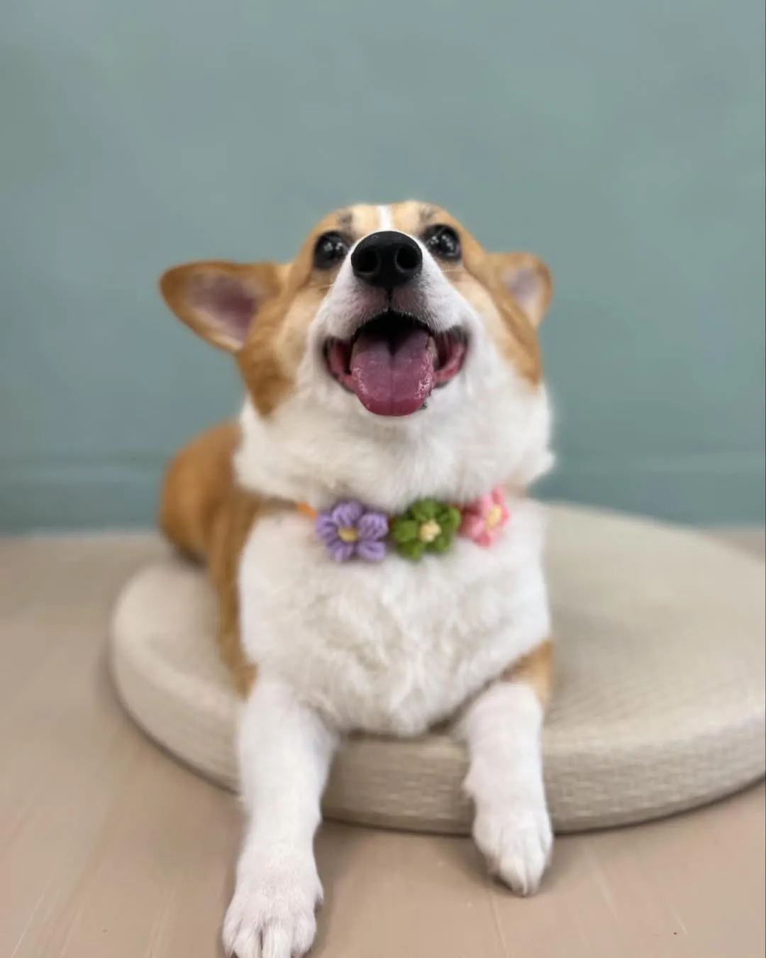 愛笑的Ruby來渡假