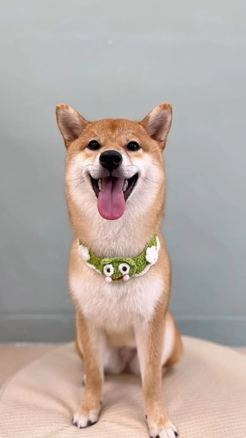 愛笑的Yaki和圈圈 ?