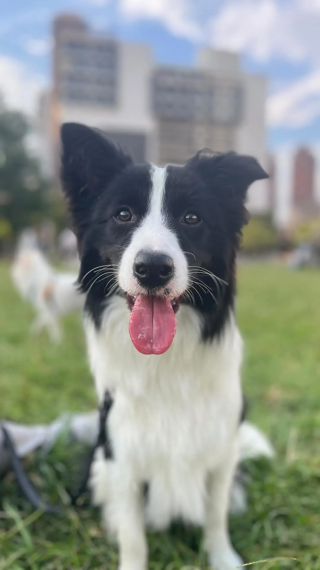 帶這位來安親的Benly去草悟道走走