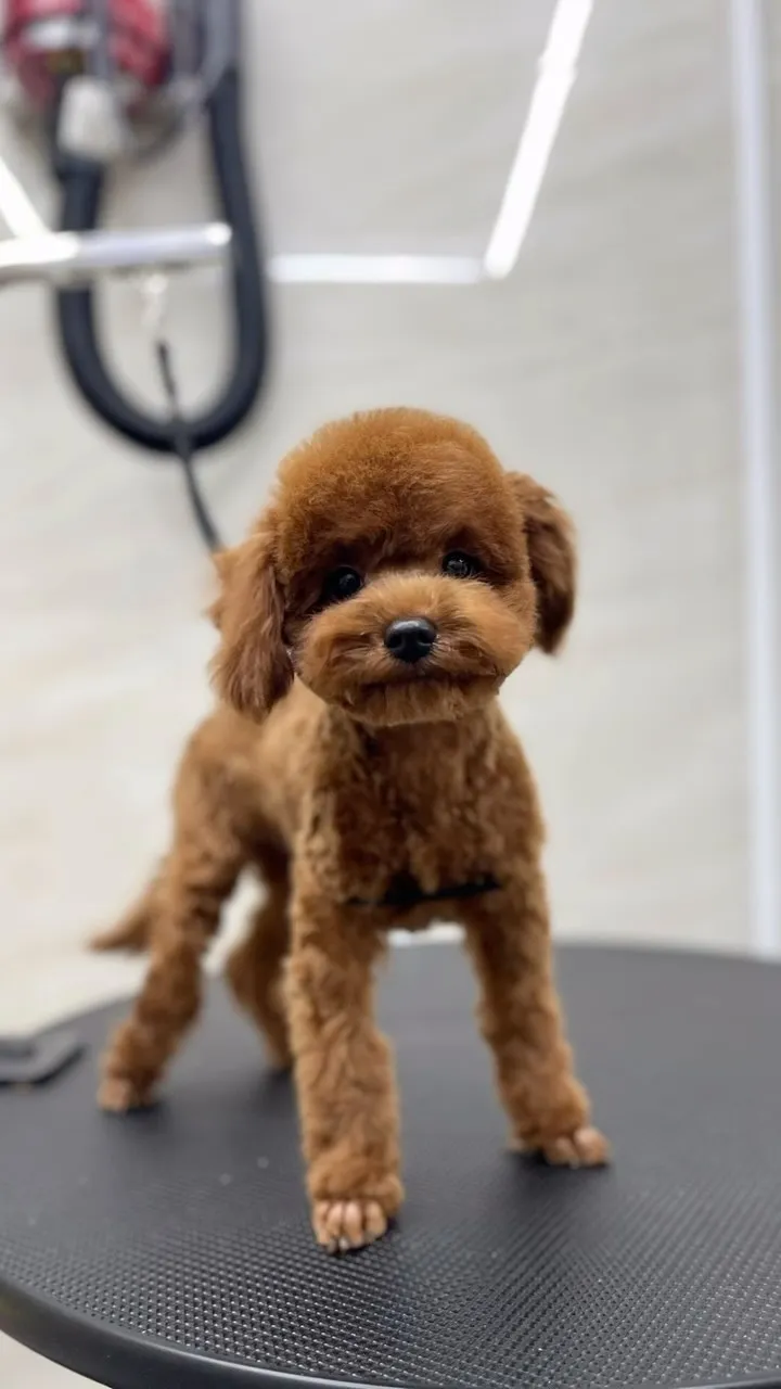 五個月的小朋友 多多