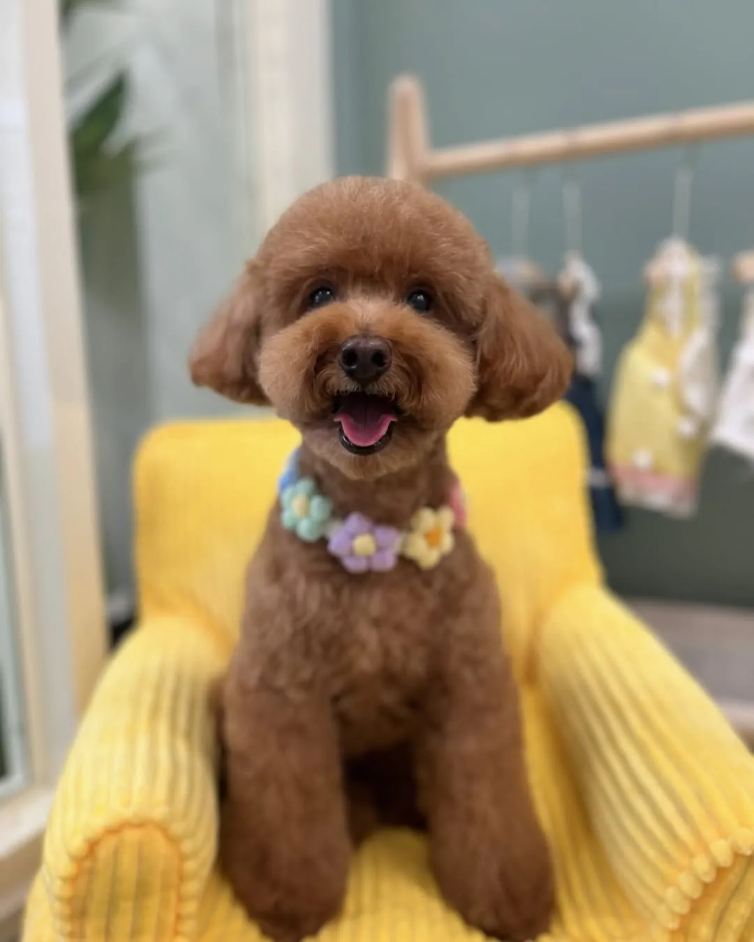 Toby從原本不愛拍照變成可以接受拍照！