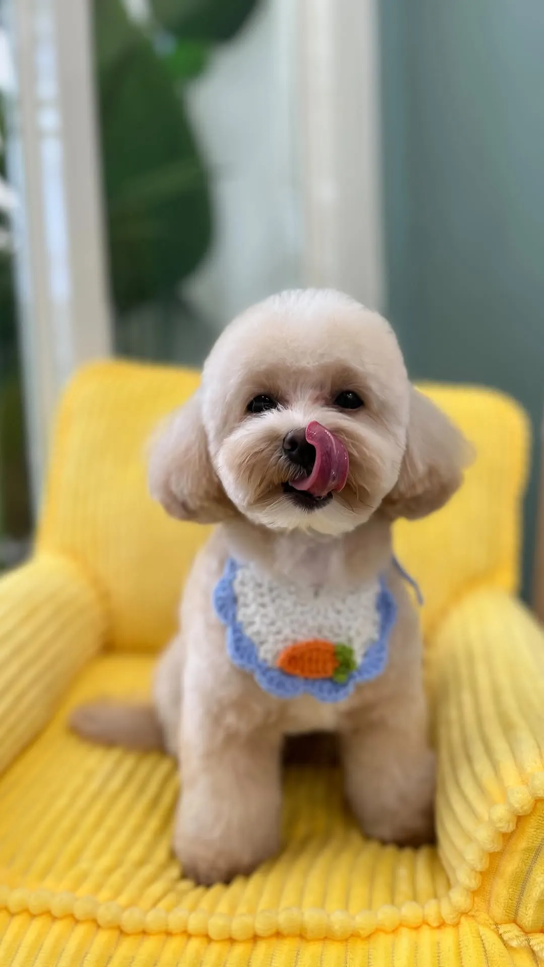 可愛的麻露第一次來就給了我全手剪的大任務