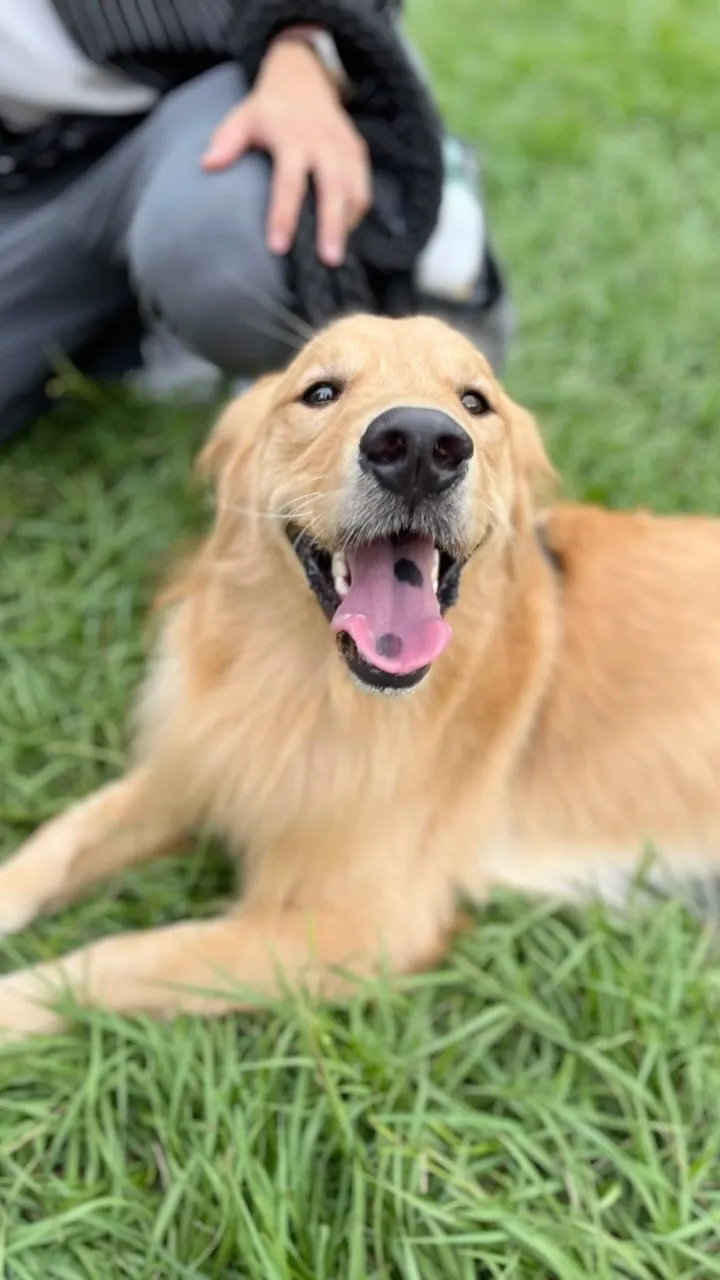 58在沐森琳的一天～