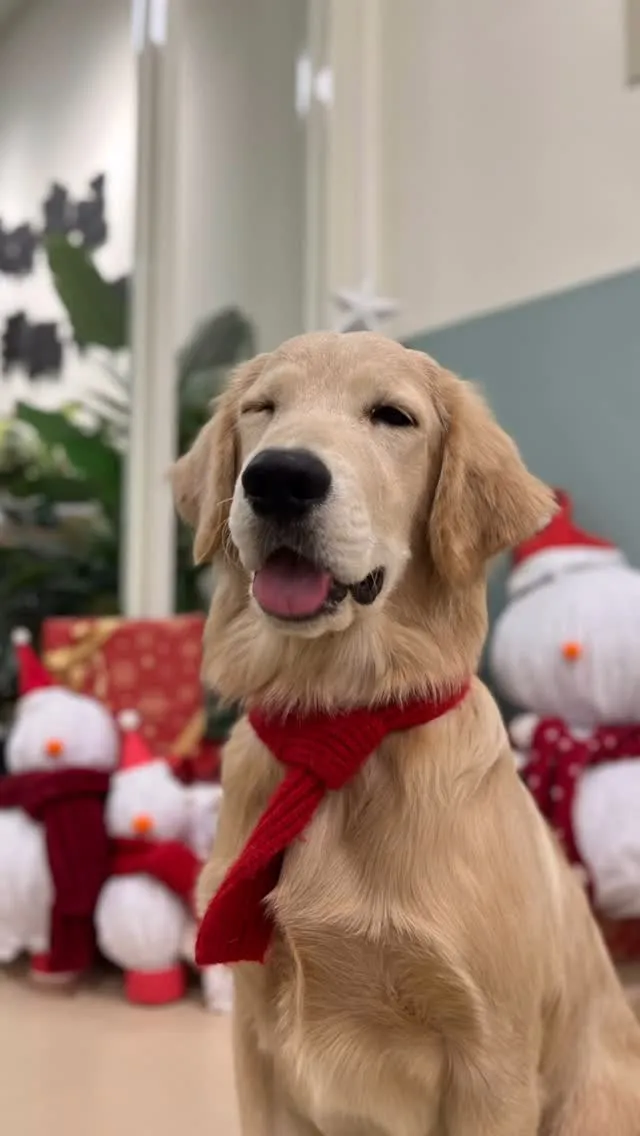 讓我融化的歐弟燃起了我發文的動力！